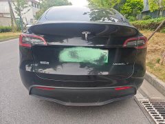 Tesla Model Y Edition - ფოტო 5