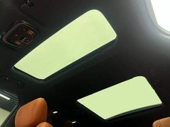 Geely M9 210km AWD Edition - ფოტო 19