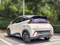 BYD Edition - ფოტო 12