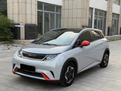 BYD 405km Fashion Edition - ფოტო 1