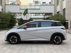 BYD 405km Fashion Edition - ფოტო 13