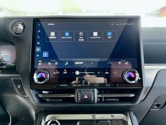 Lexus GX Edition - ფოტო 17