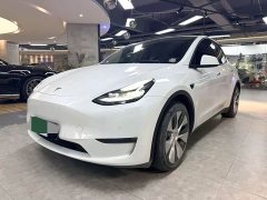 Tesla Model Y Standard Range Edition - ფოტო 1