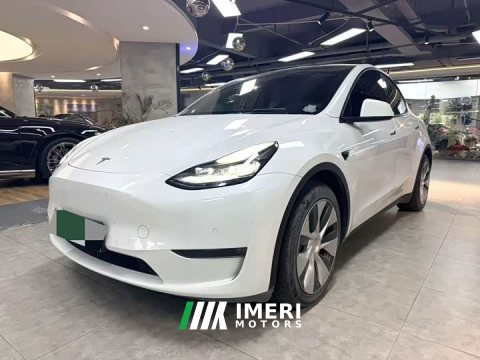 2021 Tesla Model Y Standard Range Edition - ავტომობილი ჩინეთიდან