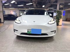 Tesla Model Y Standard Range Edition - ფოტო 2