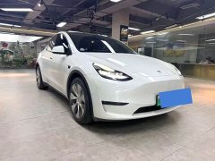 Tesla Model Y Standard Range Edition - ფოტო 3