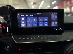 2.0GVP Luxury Edition - ფოტო 9