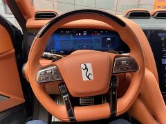 Yangwang U8 Luxury Edition - ფოტო 6