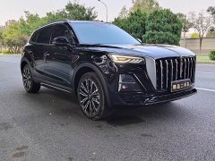 FAW HS5 2.0T AWDPro Edition - ფოტო 2
