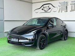 Tesla Model Y Edition - ფოტო 1