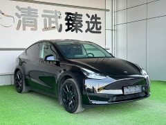 Tesla Model Y Edition - ფოტო 3