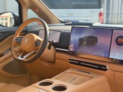 Voyah PHEV AWDPremium Edition - ფოტო 15