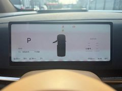 Voyah PHEV AWDPremium Edition - ფოტო 9