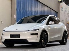 Tesla Model Y Long Range Edition - ფოტო 1