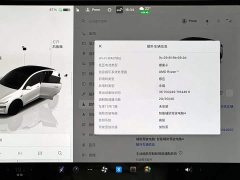 Tesla Model Y Long Range Edition - ფოტო 13