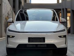Tesla Model Y Long Range Edition - ფოტო 2