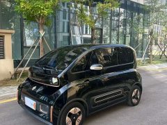 BYD KiWi EV Edition - ფოტო 1