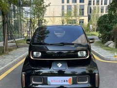 BYD KiWi EV Edition - ფოტო 2