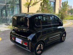 BYD KiWi EV Edition - ფოტო 7