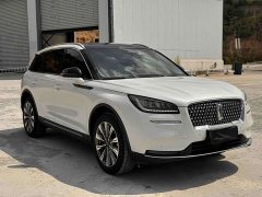Tank 2.0T 2WD Edition - ფოტო 3