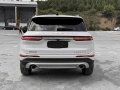 Tank 2.0T 2WD Edition - ფოტო 8