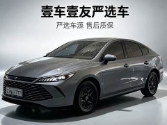 BYD PLUS DM-i Smart Drive Edition 55KM Version - ფოტო 1