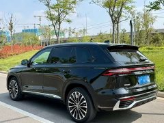 BYD L 2.0TD Edition - ფოტო 9