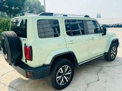 Tank 300 Edition 2.0T Version - ფოტო 12