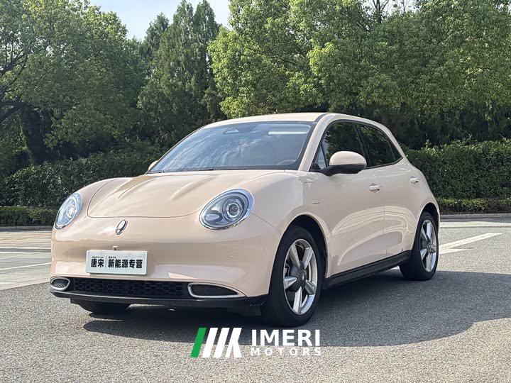 Ora 401kmStandard Range Luxury Version - ავტომობილი ჩინეთიდან