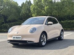 Ora 401kmStandard Range Luxury Version - ფოტო 1