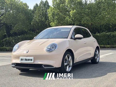 2023 Ora 401kmStandard Range Luxury Version - ავტომობილი ჩინეთიდან