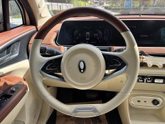 Ora 401kmStandard Range Luxury Version - ფოტო 15