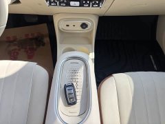 Ora 401kmStandard Range Luxury Version - ფოტო 17