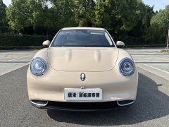 Ora 401kmStandard Range Luxury Version - ფოტო 2