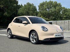 Ora 401kmStandard Range Luxury Version - ფოტო 3