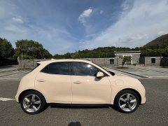 Ora 401kmStandard Range Luxury Version - ფოტო 4