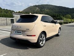 Ora 401kmStandard Range Luxury Version - ფოტო 5