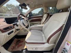 Ora 401kmStandard Range Luxury Version - ფოტო 9