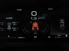 Tank 300 2.0T - ფოტო 6