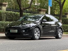 Tesla Model Y Edition - ფოტო 1