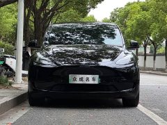 Tesla Model Y Edition - ფოტო 2