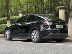 Tesla Model Y Edition - ფოტო 4