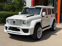 Tank 300 2.0T - ფოტო 1