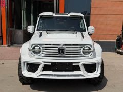 Tank 300 2.0T - ფოტო 2