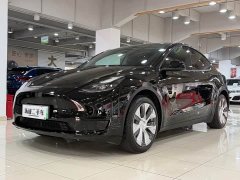 Tesla Model Y Edition - ფოტო 1