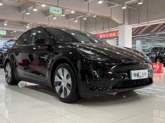 Tesla Model Y Edition - ფოტო 2
