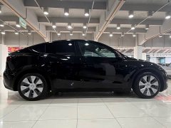 Tesla Model Y Edition - ფოტო 4