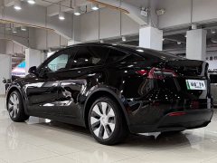 Tesla Model Y Edition - ფოტო 6