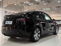 Tesla Model Y Edition - ფოტო 8