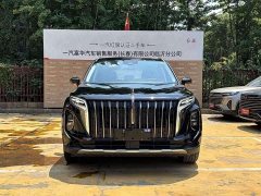 FAW HS7 PHEV 2.0T PHEV AWD Edition 6 - ფოტო 2